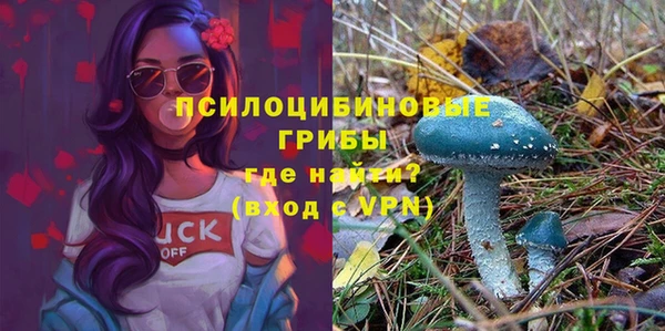 ешки Россошь