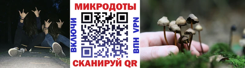 Псилоцибиновые грибы GOLDEN TEACHER  купить наркотики сайты  Балахна 